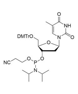 Thymidine-3’-CEP